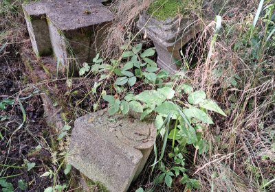 Jitka Mouchová, 2025