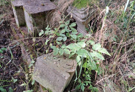 Jitka Mouchová, 2025