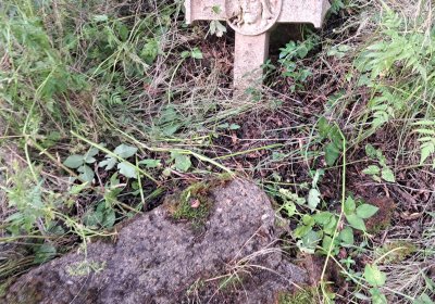 Jitka Mouchová, 2025