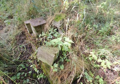 Jitka Mouchová, 2025