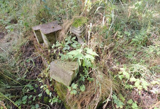 Jitka Mouchová, 2025