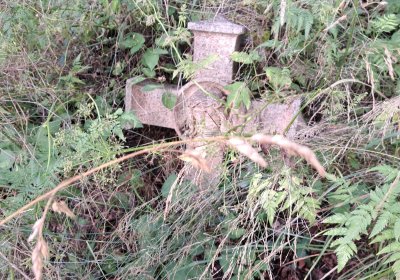 Jitka Mouchová, 2025