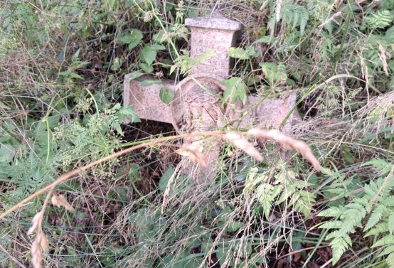 Jitka Mouchová, 2025