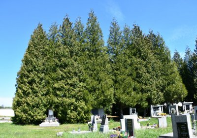 Rozptylová loučka, O.C., 2024