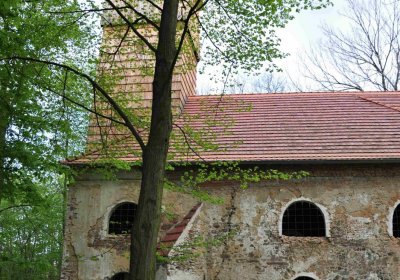 Hřbitov Pelhřimovy, Omnium, 2017