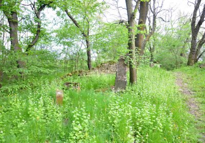 Hřbitov Pelhřimovy, Omnium, 2017