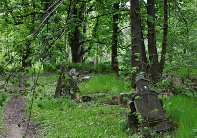 Hřbitov Pelhřimovy, Omnium, 2017