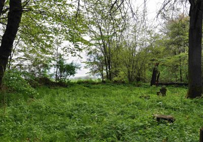 Hřbitov Pelhřimovy, Omnium, 2017