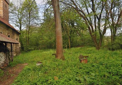 Hřbitov Pelhřimovy, Omnium, 2017