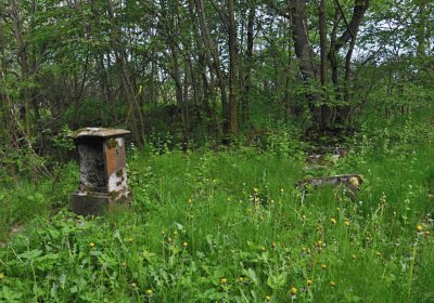 Hřbitov Pelhřimovy, Omnium, 2017