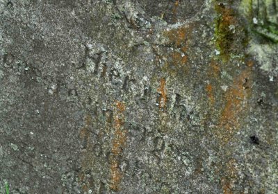 Hřbitov Pelhřimovy, Omnium, 2017