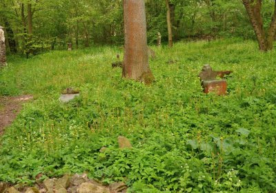 Hřbitov Pelhřimovy, Omnium, 2017