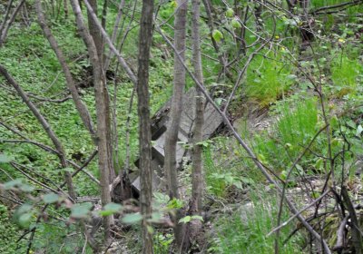 Hřbitov Pelhřimovy, Omnium, 2017