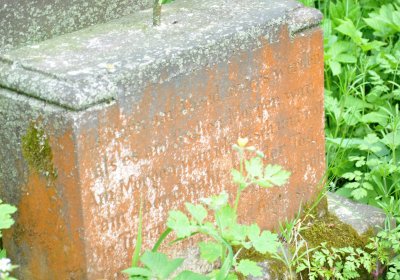 Hřbitov Pelhřimovy, Omnium, 2017