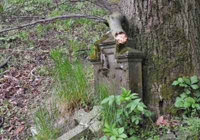 Hřbitov Pelhřimovy, Omnium, 2017