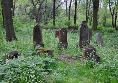 Hřbitov Pelhřimovy, Omnium, 2017