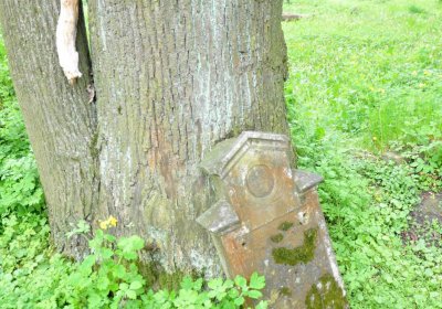 Hřbitov Pelhřimovy, Omnium, 2017