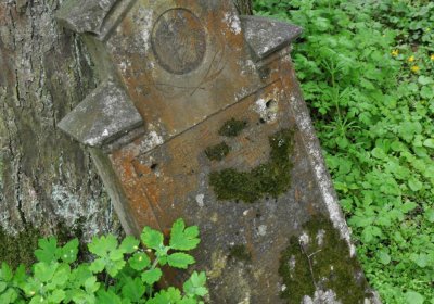 Hřbitov Pelhřimovy, Omnium, 2017