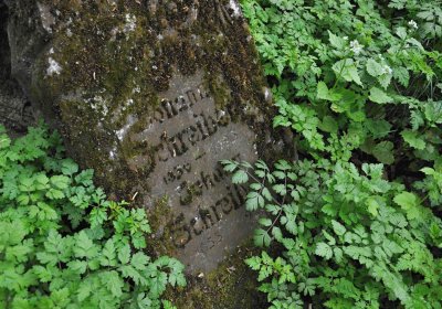 Hřbitov Pelhřimovy, Omnium, 2017