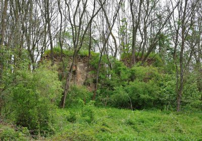 Hřbitov Pelhřimovy, Omnium, 2017