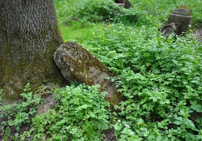Hřbitov Pelhřimovy, Omnium, 2017
