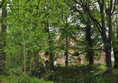 Hřbitov Pelhřimovy, Omnium, 2017