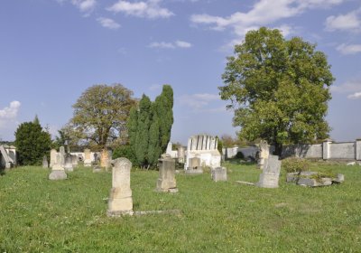 Sedláček Hugo, 2015