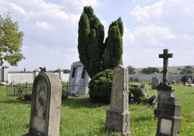 Sedláček Hugo, 2015