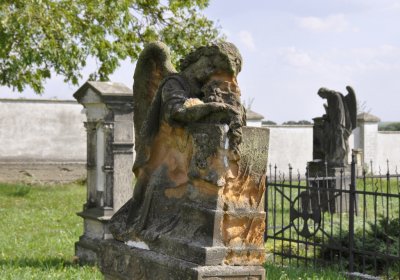 Sedláček Hugo, 2015