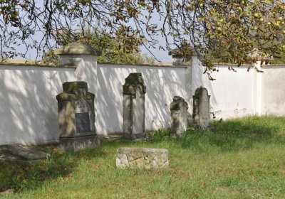 Sedláček Hugo, 2015