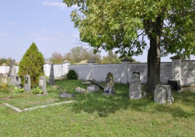 Sedláček Hugo, 2015
