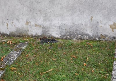 Bílence, Omnium, 2020