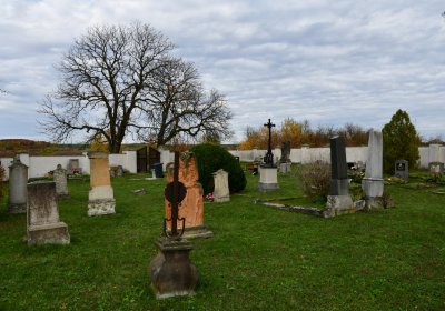 Bílence, Omnium, 2020