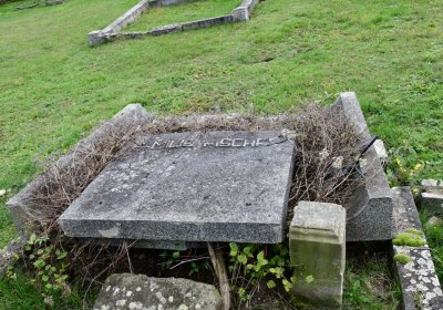 Bílence, Omnium, 2020