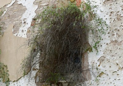 Škrle, Omnium, 2020