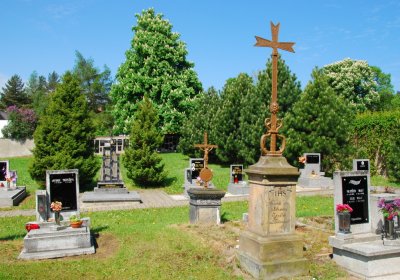 Sedláček Hugo, 2009