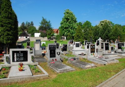 Sedláček Hugo, 2009