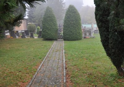 Boleboř, Omnium, 2020