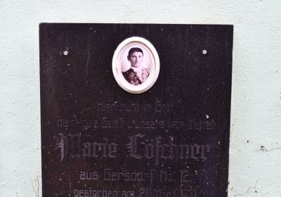 Boleboř, Omnium, 2020