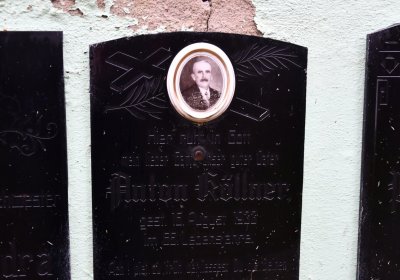 Boleboř, Omnium, 2020