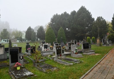 Boleboř, Omnium, 2020