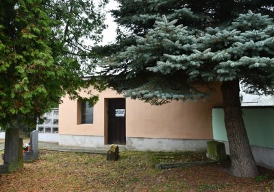 Boleboř, Omnium, 2020