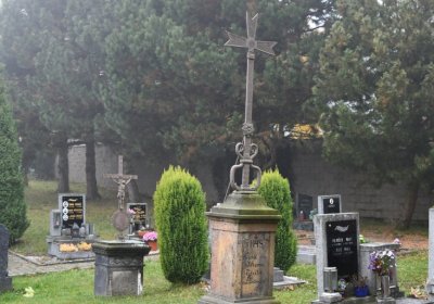 Boleboř, Omnium, 2020