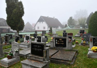 Boleboř, Omnium, 2020