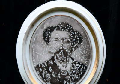 Boleboř, Omnium, 2020