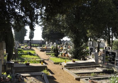 Sedláček Hugo, 2015