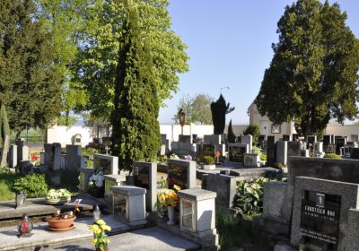 Sedláček Hugo, 2015