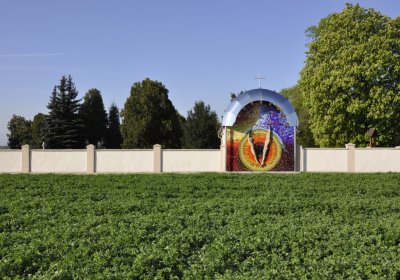 Sedláček Hugo, 2015