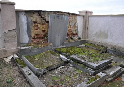 Březno u Chomutova, Omnium, 2020