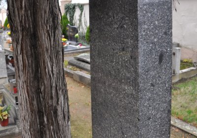 Březno u Chomutova, Omnium, 2020